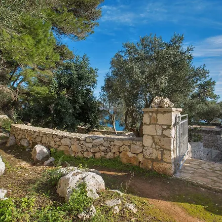 Pajara Acquaviva