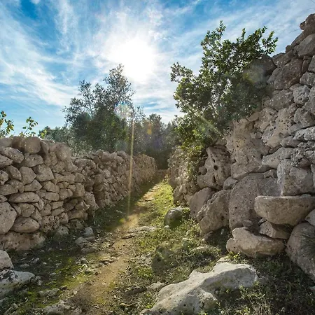 Pajara Acquaviva * Castro (Lecce)